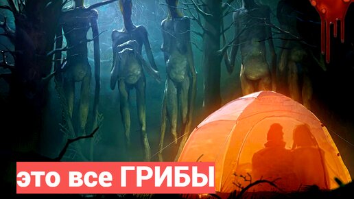 Мистическая история про туристов затерявшихся в горах Алтай