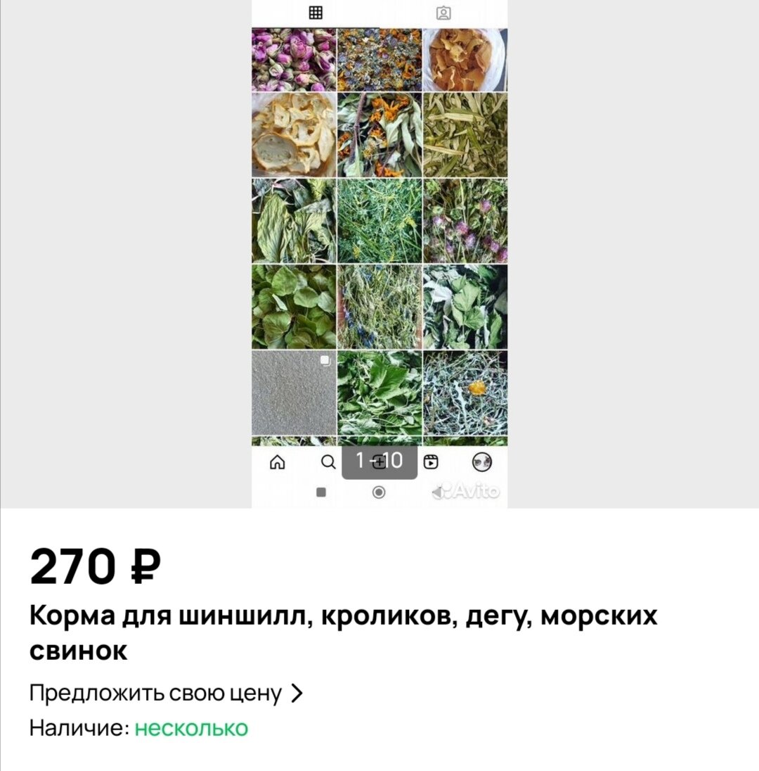 Фото с сайта Авито. 