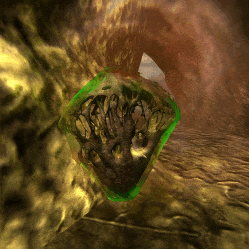 Медуза в ЧН и ЗП