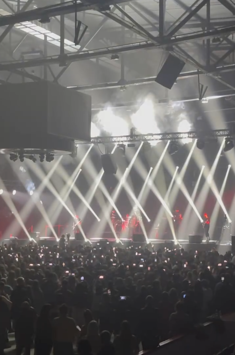    Концерт группы "Звери". Источник: Telegram-канал "В курсе 22", Barnaul 22