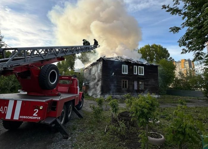 Фото: ГУ МЧС по Новосибирской области