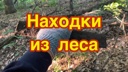 Находки из леса. Поиски до самой темноты