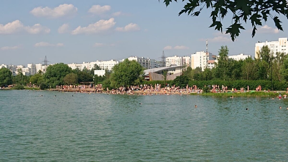 Фото: ВК-группа «Бутово Южное М125»