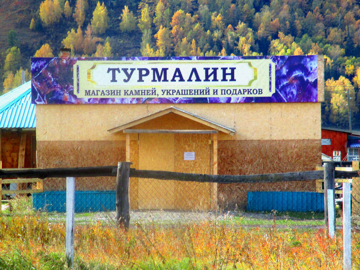 Магазин "Турмалин" на фоне осеннего леса. Фото автора.