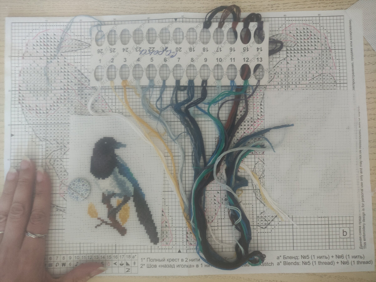 24 мая - вышиваю сороку