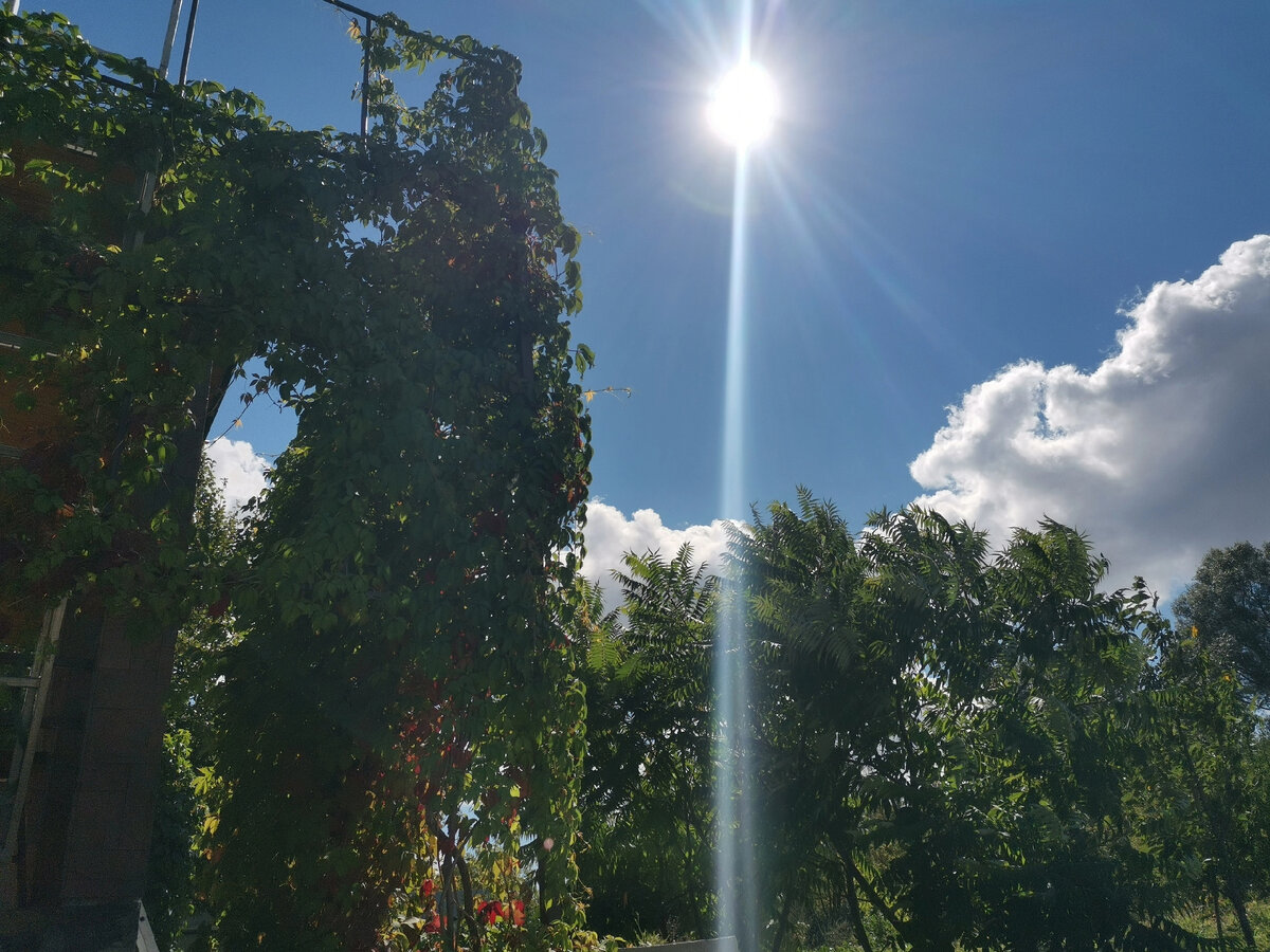 как защитить свой дом от нагревания даже в самые жаркие дни