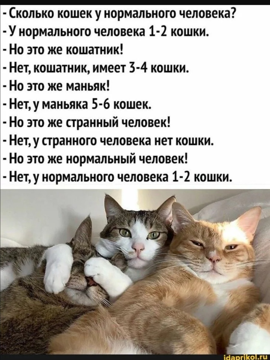 Фото из интернет. 