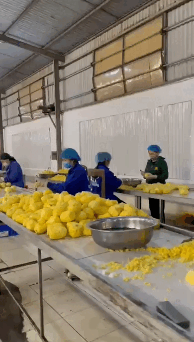 Свежие ананасы нарезаем и смешиваем с чаем, а после этого высушиваем