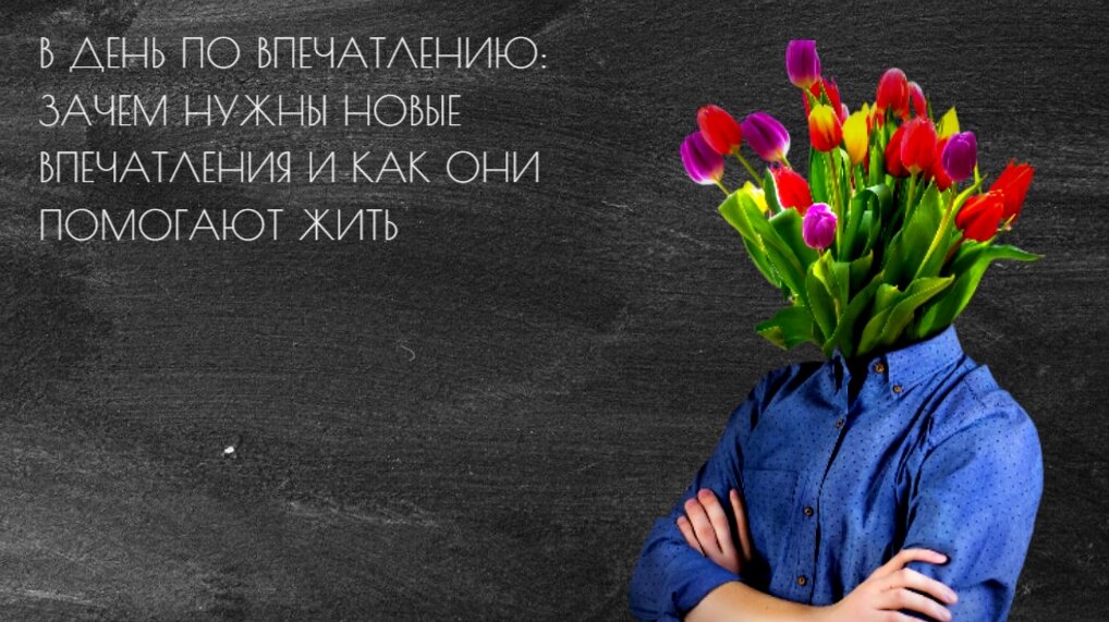 Секрет успеха заключается в накоплении впечатлений