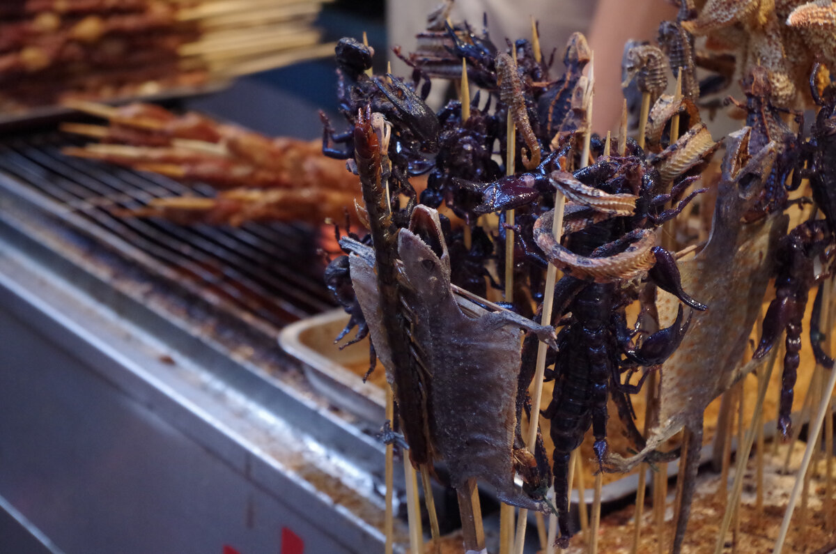 На этом фото: жареные ящерицы, скорпионы, змеи, морские коньки и многоножка. 