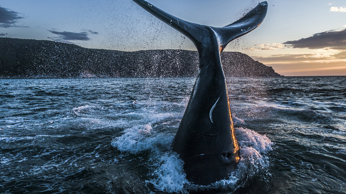 Фото: Михаил Коростелев