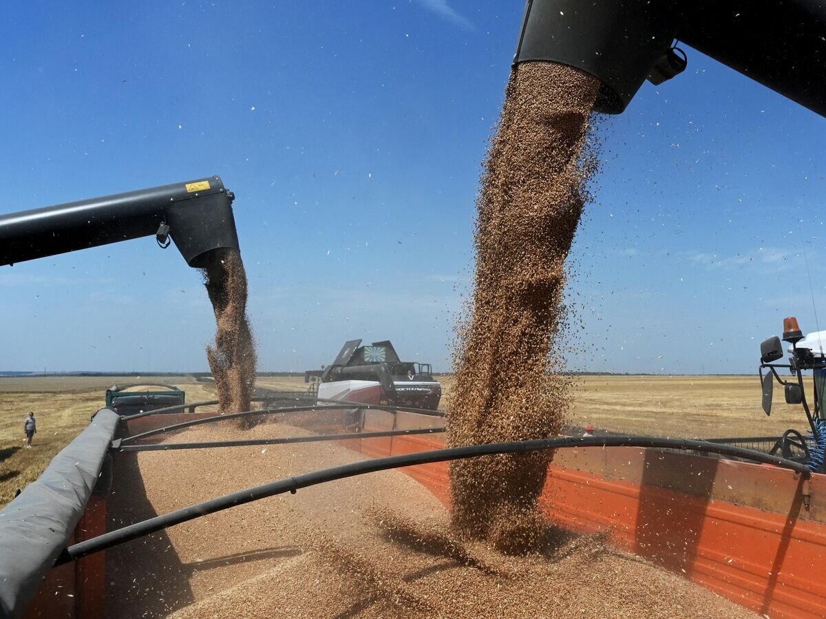    Уборка урожая пшеницы© РИА Новости / Сергей Пивоваров