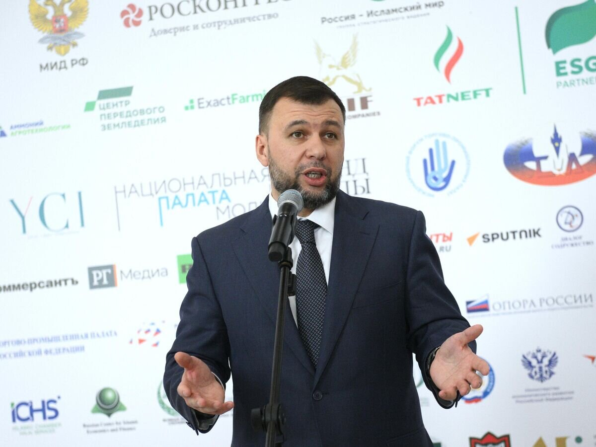    Денис Пушилин на международном экономическом форуме "Россия — Исламский мир: KazanForum"© АНО "Дирекция спортивных и социальных проектов"