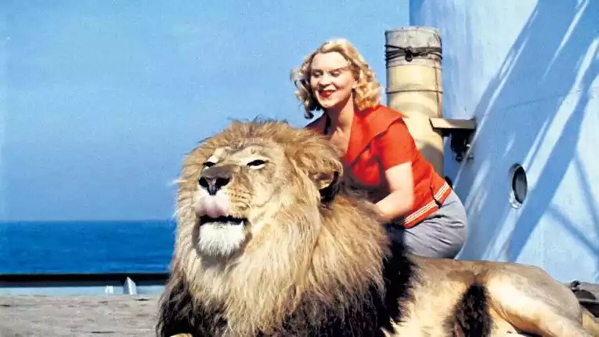 В галерее – кадры с Назаровой и  Васькой из комедии Фетина