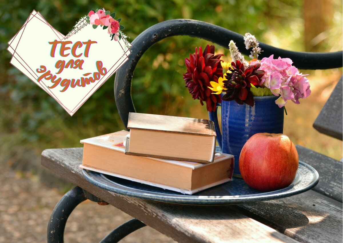 Источник изображения: pixabay.com, дизайн автора публикации