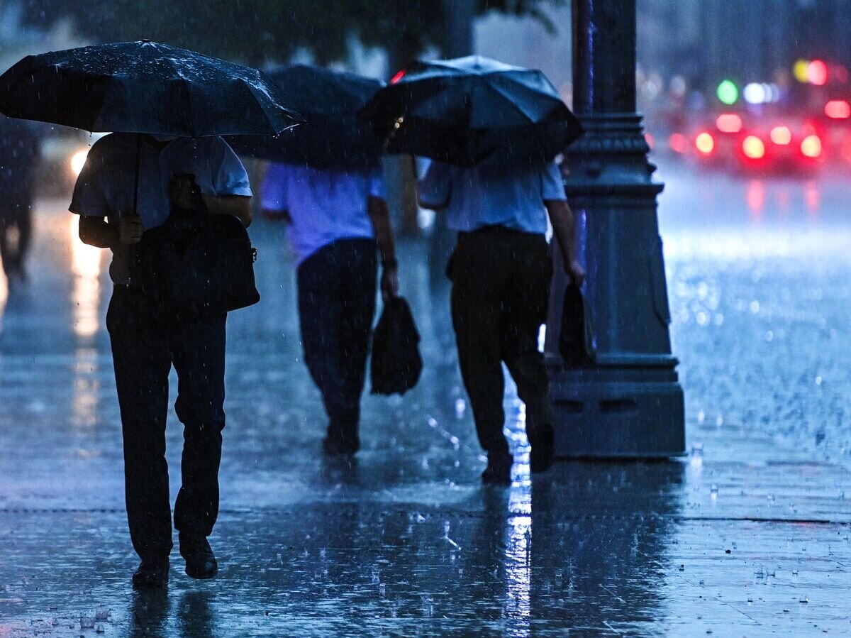    Дождь в Москве© РИА Новости / Евгений Одиноков