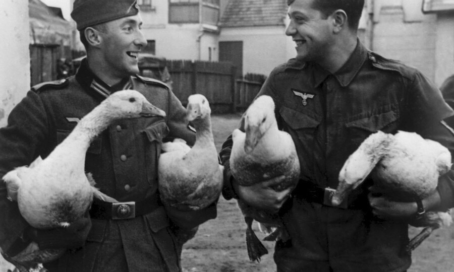 Зачем нацисты помогали советским крестьянам и восстанавливали сельское хозяйство в оккупированных районах?