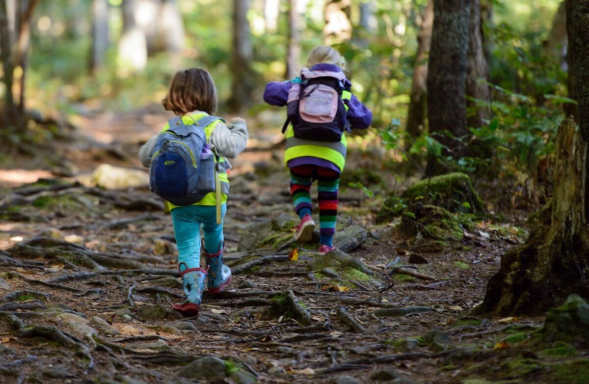 Изображение из сети Интернет