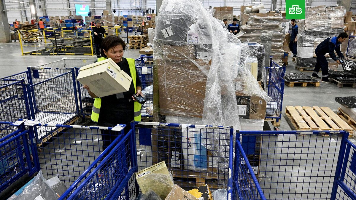    Фото: РИА Новости © 2024, Максим Богодвид