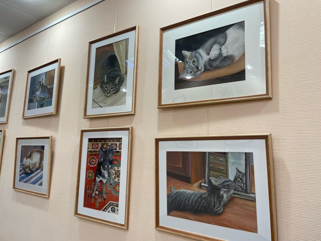 Вечная тема «Кошки против собак» представлена в библиотеке Герцена в Твери