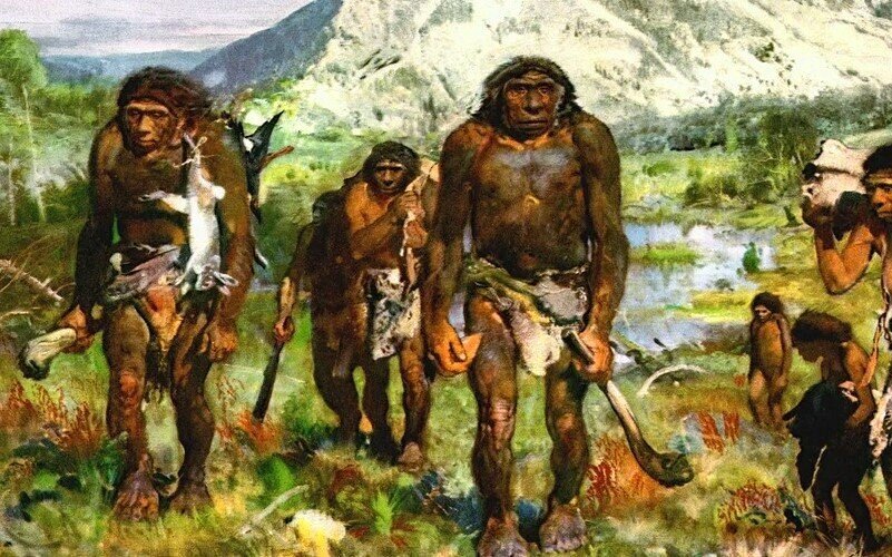 -Это Вы представляете дрвенего человека таким? Тогда мы идем к вам.