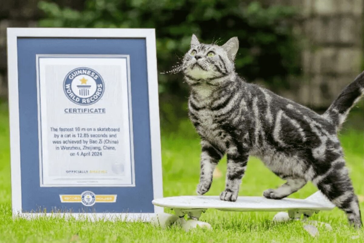    Фото: guinnessworldrecords.com