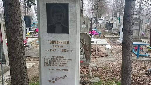 Могилы 7-летнего Александра Парахина, 8-летней Гончаренко Натальи и другие захоронения на кладбище в ст. Тбилисской Краснодарского края