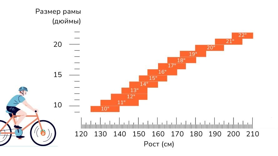 Таблица: как подобрать размер велосипеда по росту