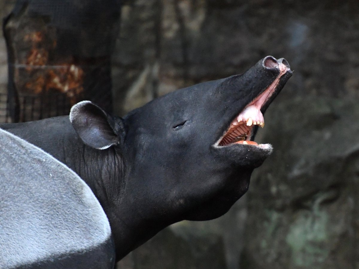 Ух, чую запах интересных фактов... 