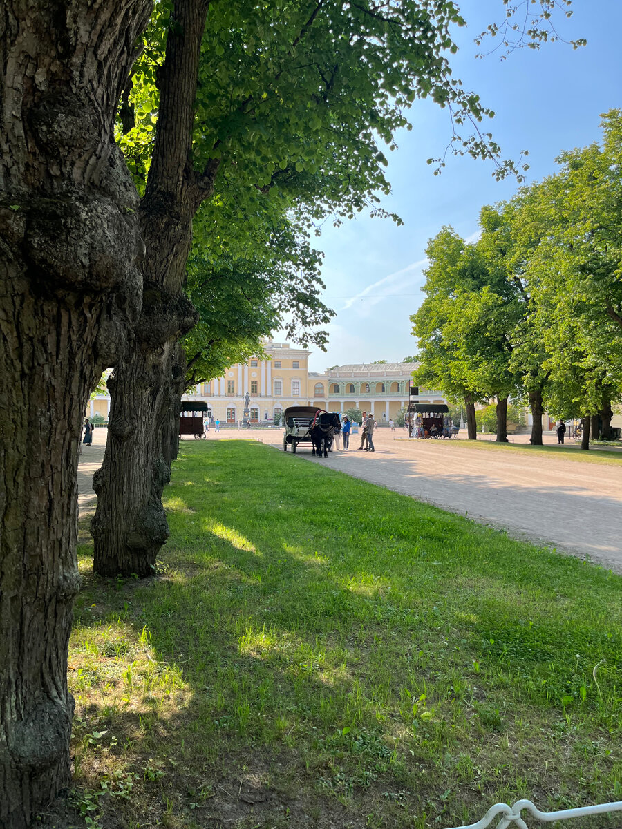 Павловский парк. Фото автора.