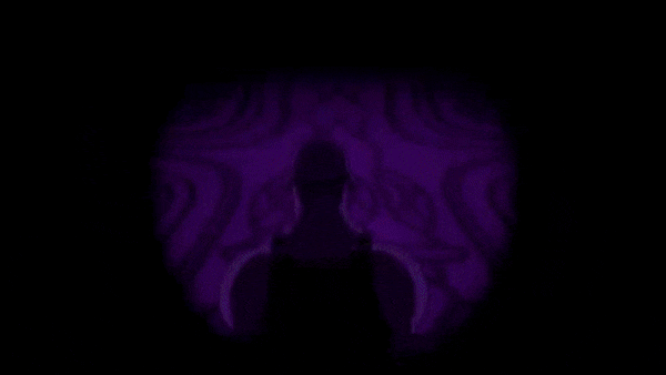 Появление Шриллов