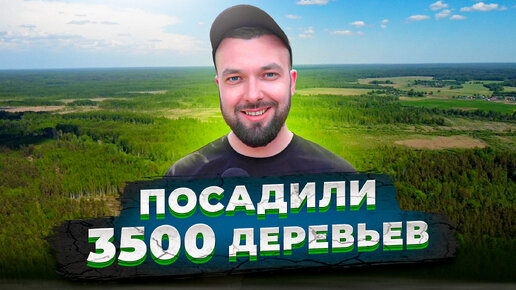 модульные дома в год уничтожают 2000 деревьев