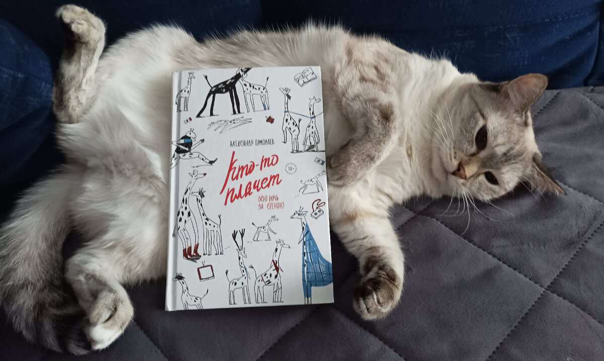 Сегодня книжку - худышку от совсем ещё юного столичного издательства "Дом историй" представляет Дженька