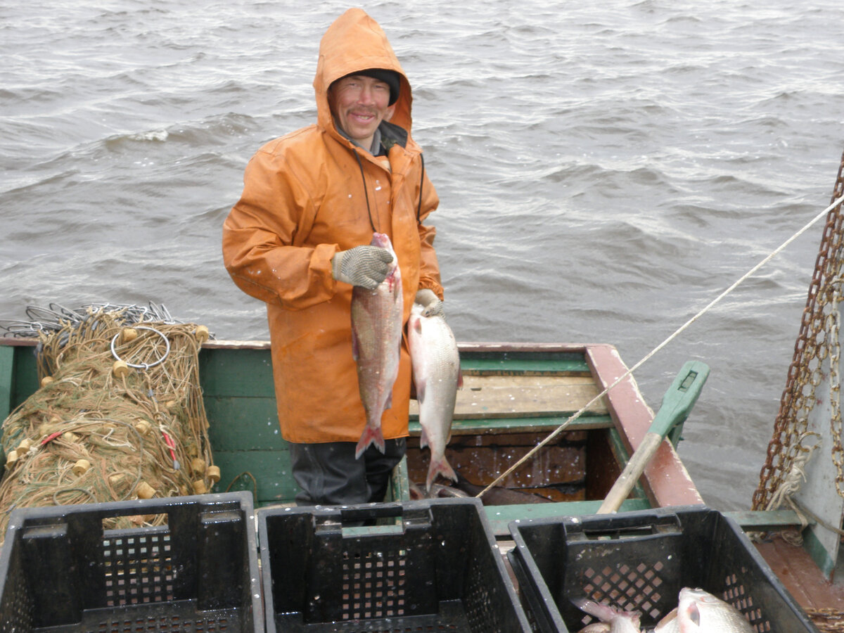 Рыбак со свежим уловом