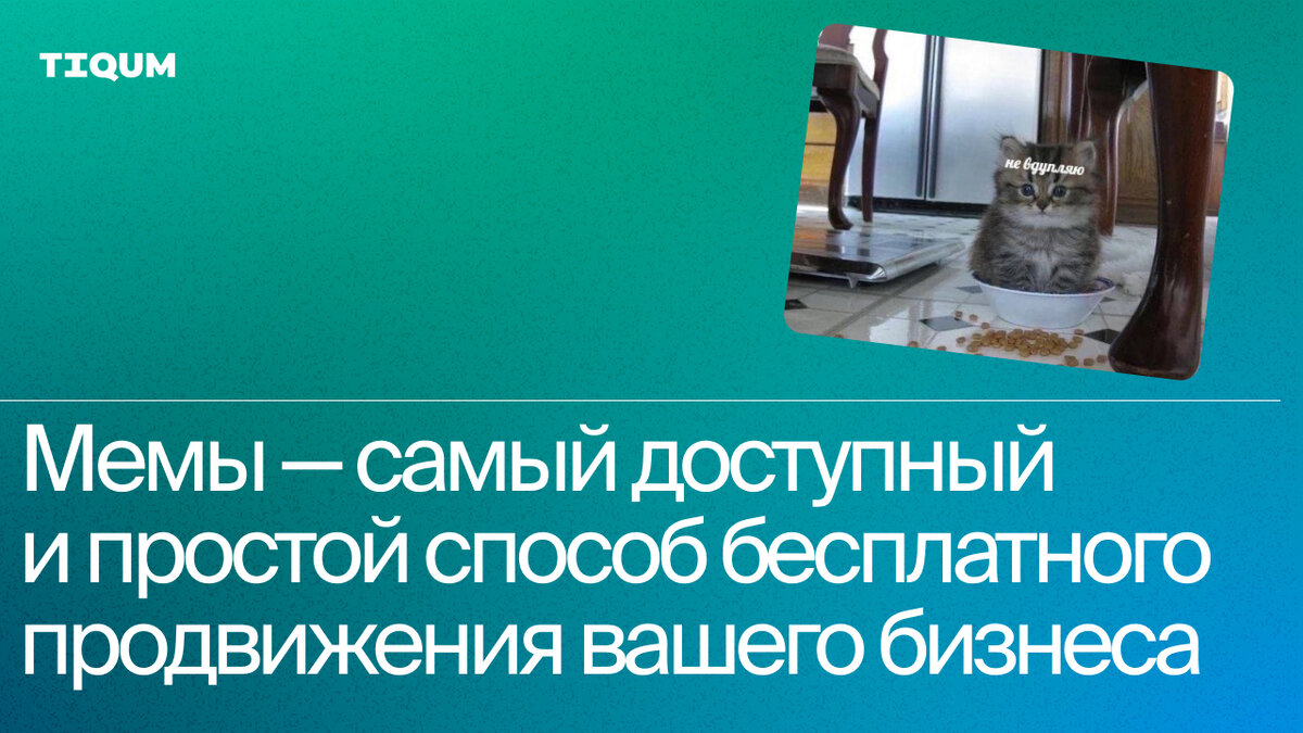 Мемы — самый доступный и простой способ бесплатного продвижения вашего  бизнеса. | Цифровая трансформация 360° by Tiqum | Дзен