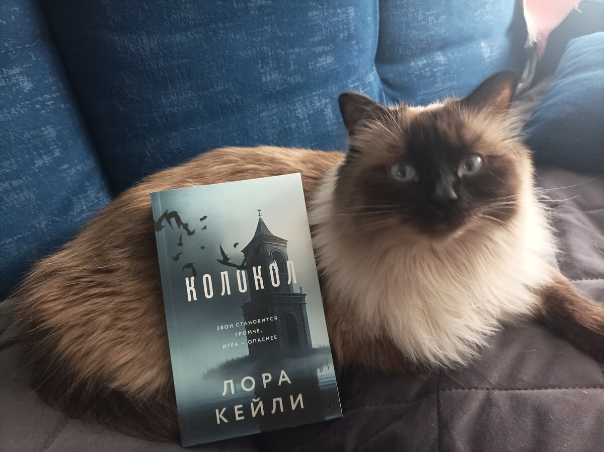 Книгу в мягкой обложке из сети магазинов Fix  Price сегодня представляет Джесс. 