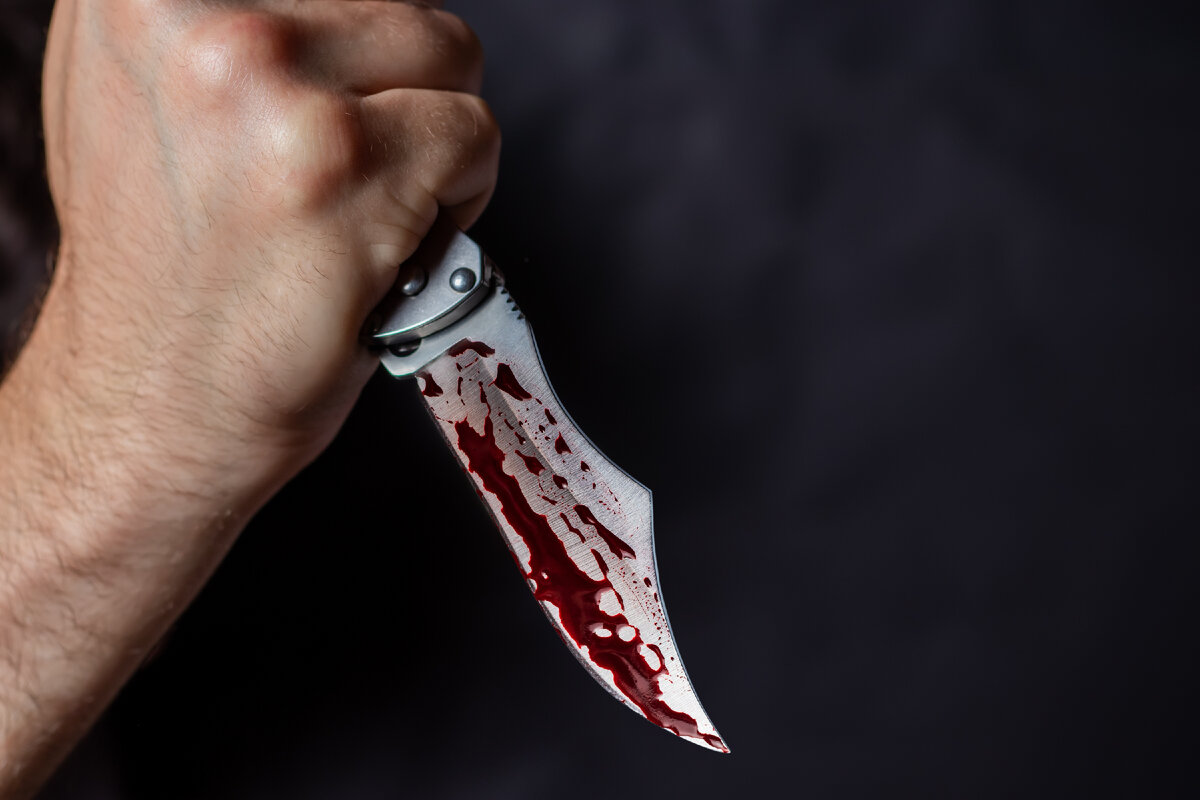 Фото: Skrypnykov Dmytro/Shutterstock/Fotodom