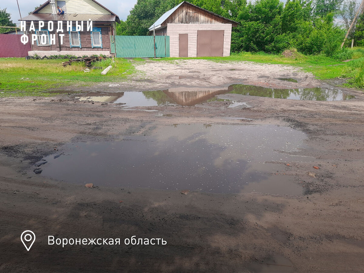 Так местные жители называют свою улицу Рябиновую в городе Борисоглебске.  В сухую погоду там еще можно передвигаться. А в дождь без резиновых сапог делать нечего. Тем более,  тротуаров нет.-1-2