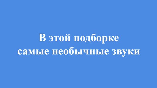 Голоса птиц вальдшнеп и большой пестрый дятел #пениептиц #орнитология #птицыроссии #птицылеса #голосдятла #голосвальдшнепа #голосптиц