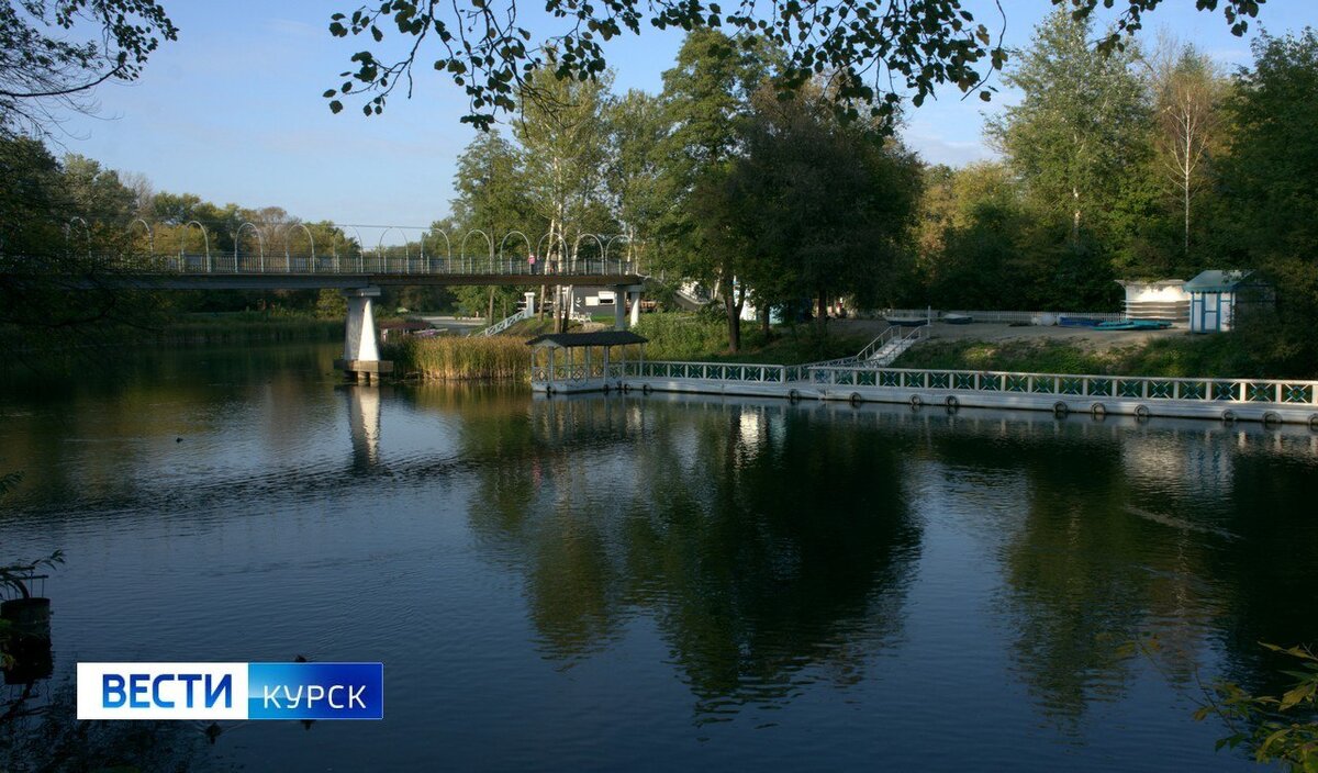    Курские пляжи перед стартом купального сезона проверила специальная комиссия