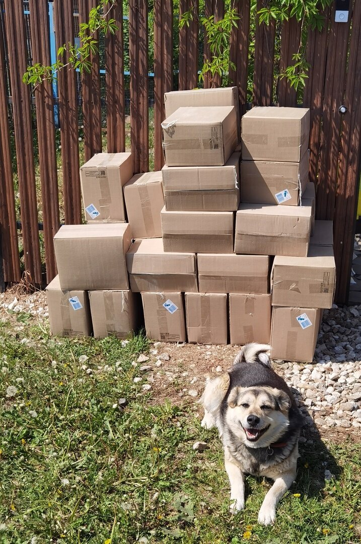 Вера и 25 коробок наполнителя