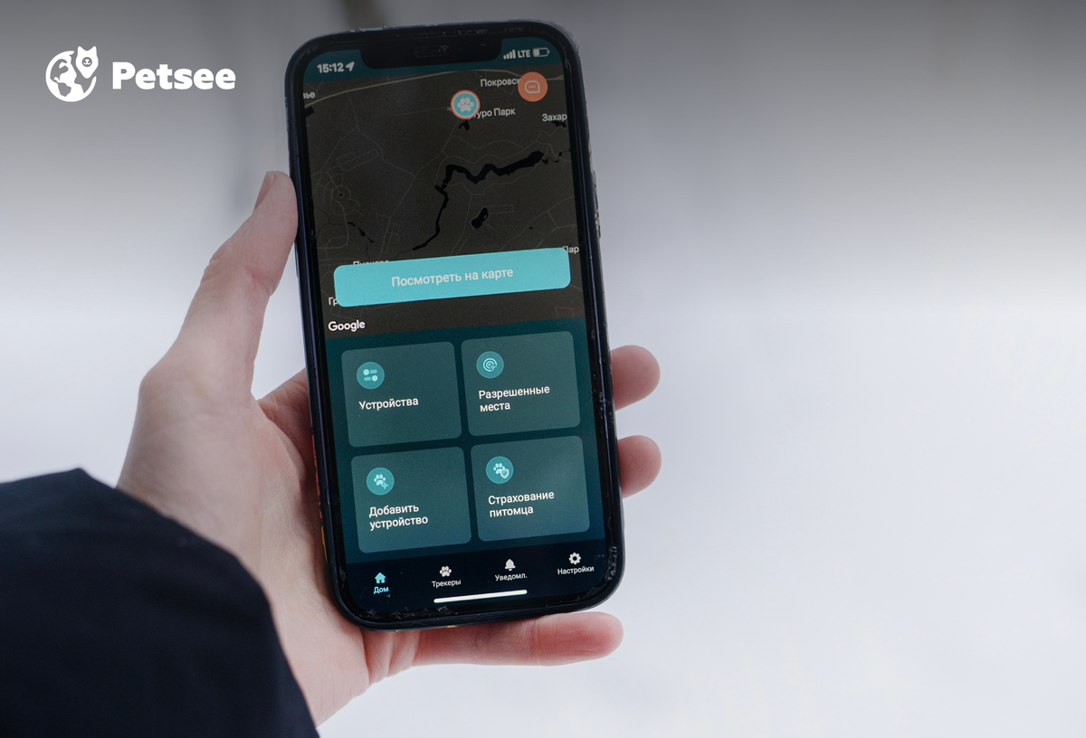 Как GPS-трекер влияет на статистику пропавших питомцев? | Всё о пушистых с  Petsee | Дзен