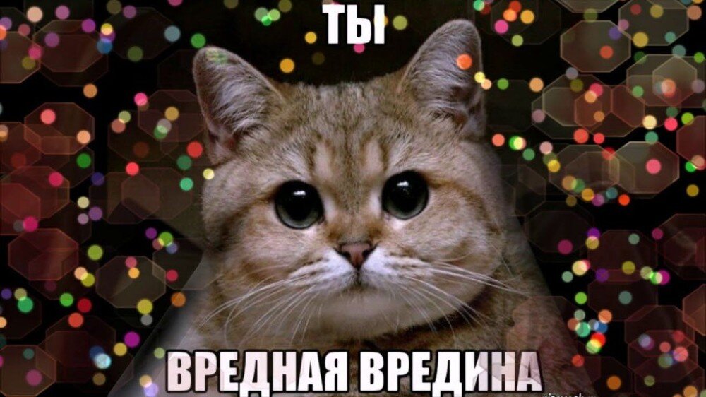 источник Яндекс-картинки