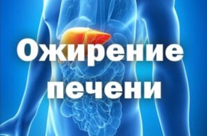 Фото взято из Яндекс картинки