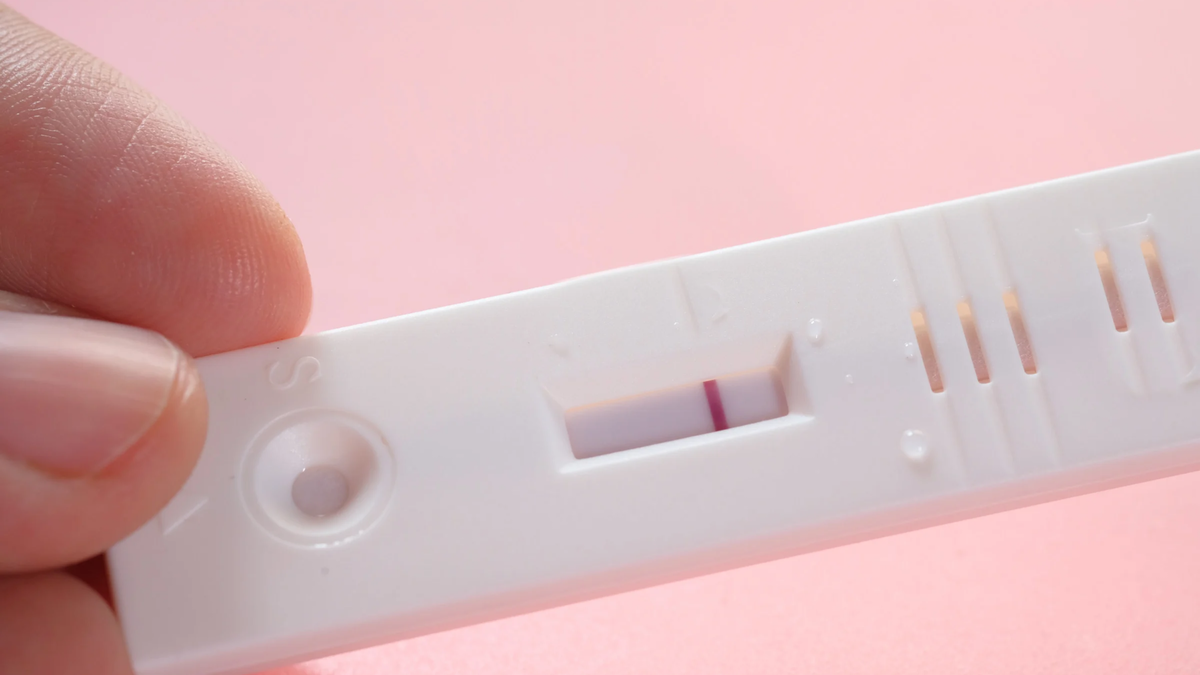 Фото из свободных источников 