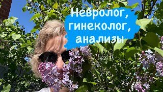 Невролог, гинеколог, анализы