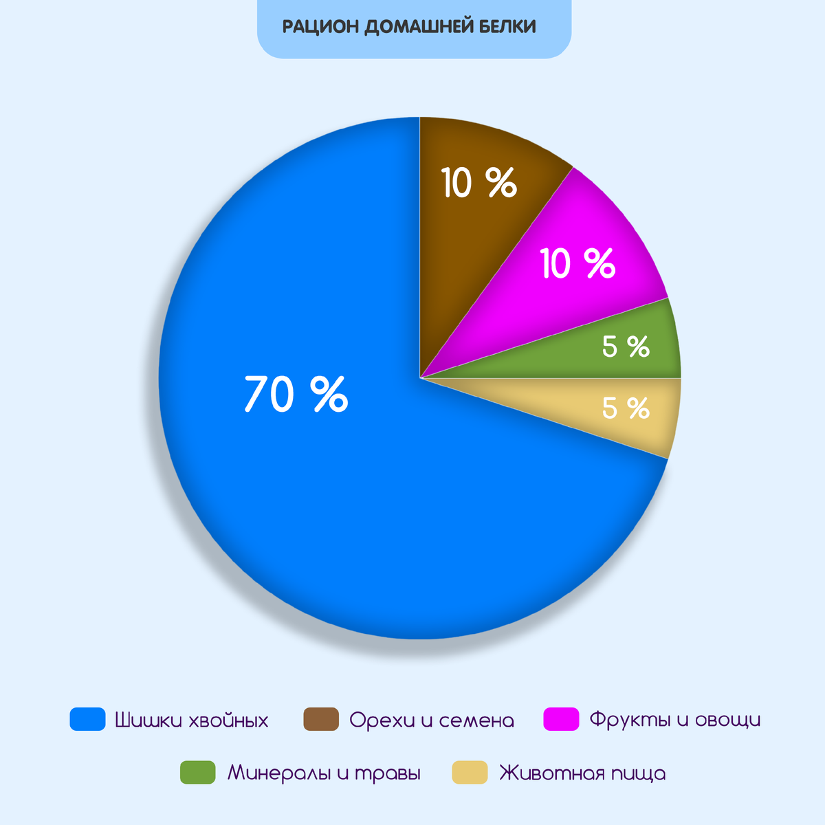Рацион домашней белки