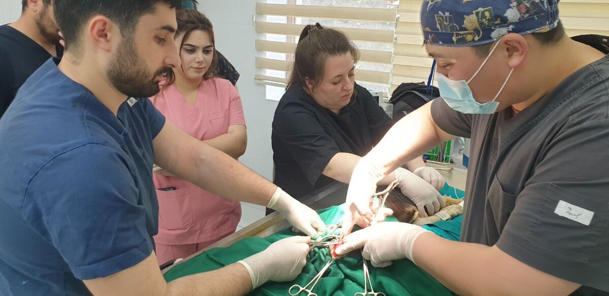 Фото: участники "Миссии ДОБРО" 