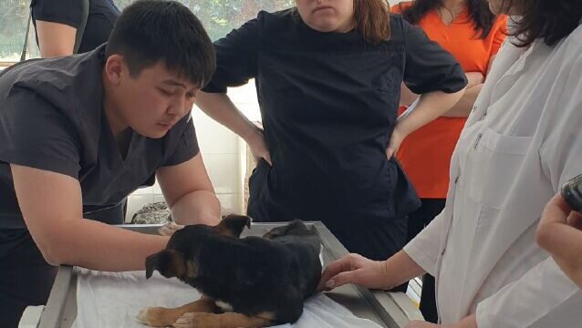 Фото: участники "Миссии ДОБРО" 