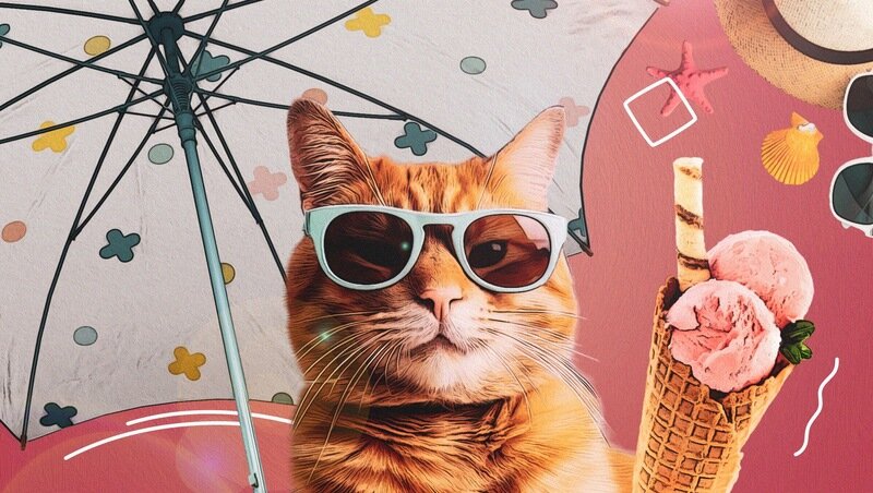      Фото: ИА «Победа26»